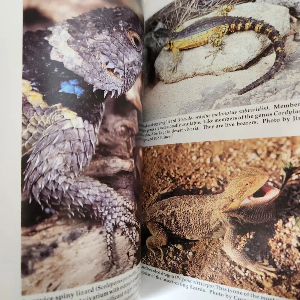 Lizard Keeper's Handbook Book Philippe de Vosjoli 9781882770250 Reptile Caretaki
